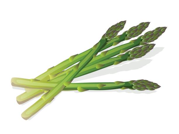 asparagus