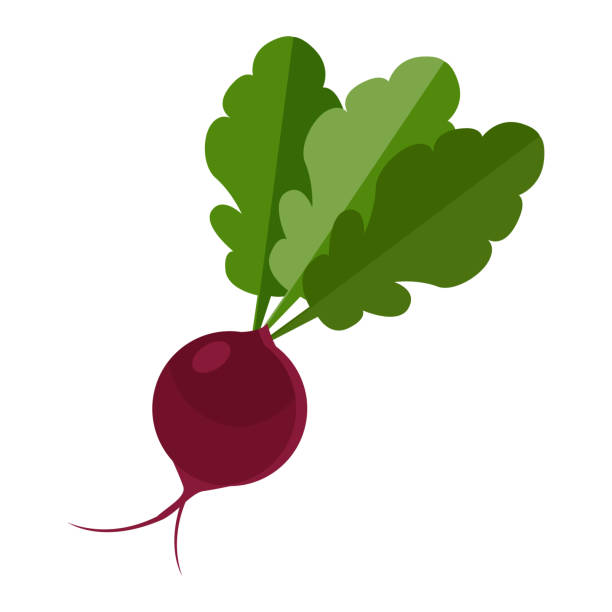 beet