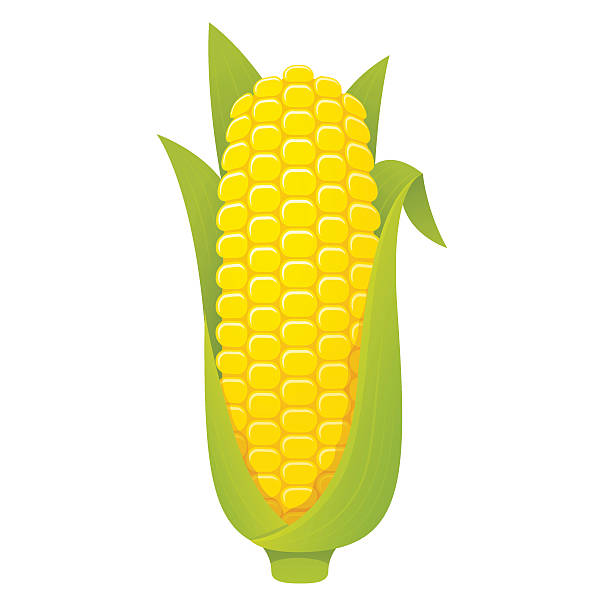 corn